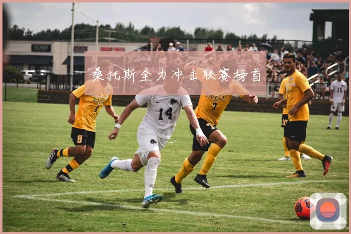桑托斯全力冲击联赛榜首