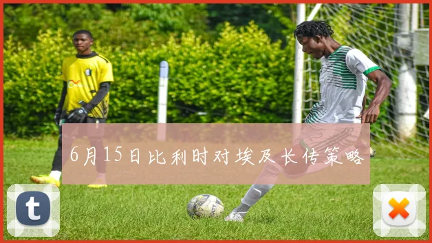 6月15日比利时对埃及长传策略