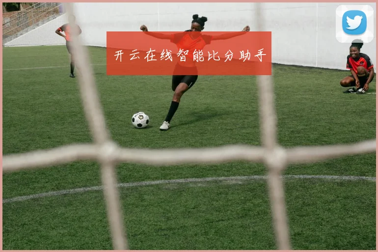 开云在线智能比分助手