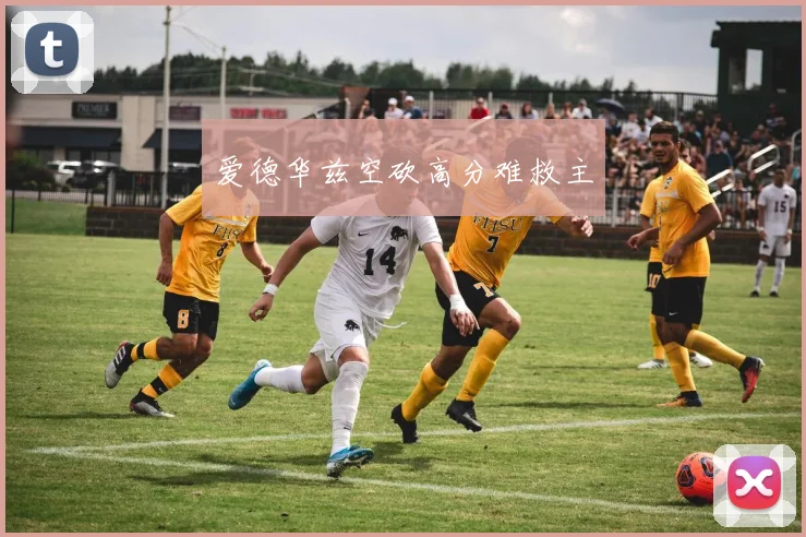 爱德华兹空砍高分难救主