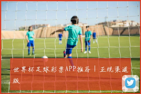 世界杯足球彩票APP推荐｜正规渠道版