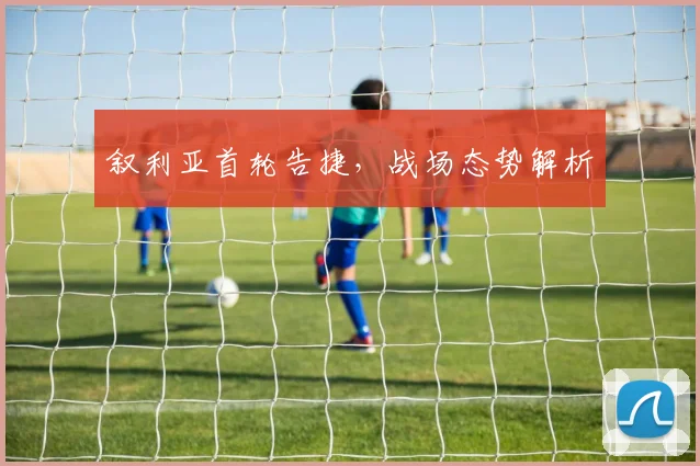 叙利亚首轮告捷，战场态势解析