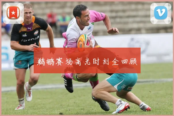 鹈鹕赛场高光时刻全回顾