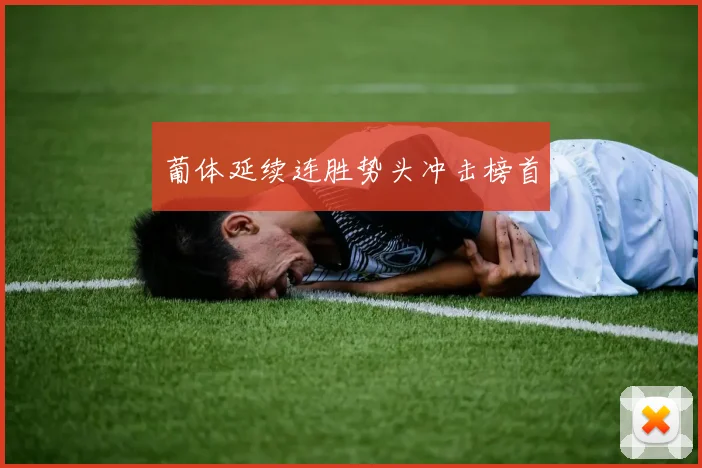 葡体延续连胜势头冲击榜首