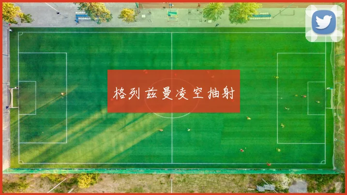 格列兹曼凌空抽射