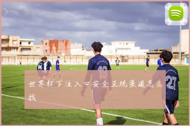 世界杯下注入口安全正规渠道怎么找