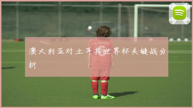 澳大利亚对土耳其世界杯关键战分析