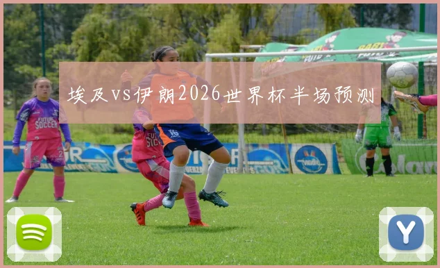 埃及vs伊朗2026世界杯半场预测