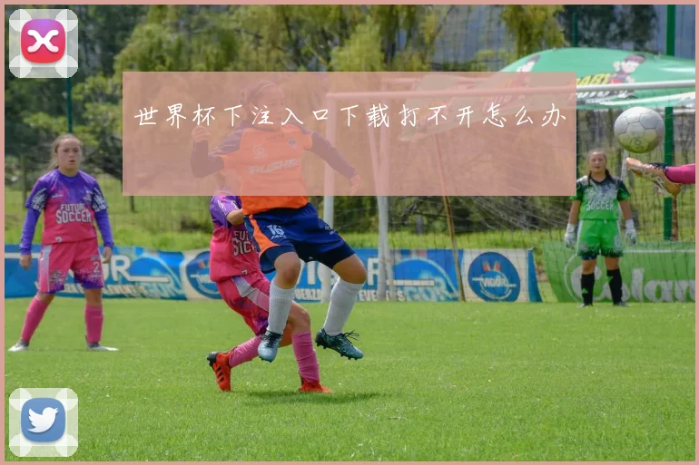 世界杯下注入口下载打不开怎么办