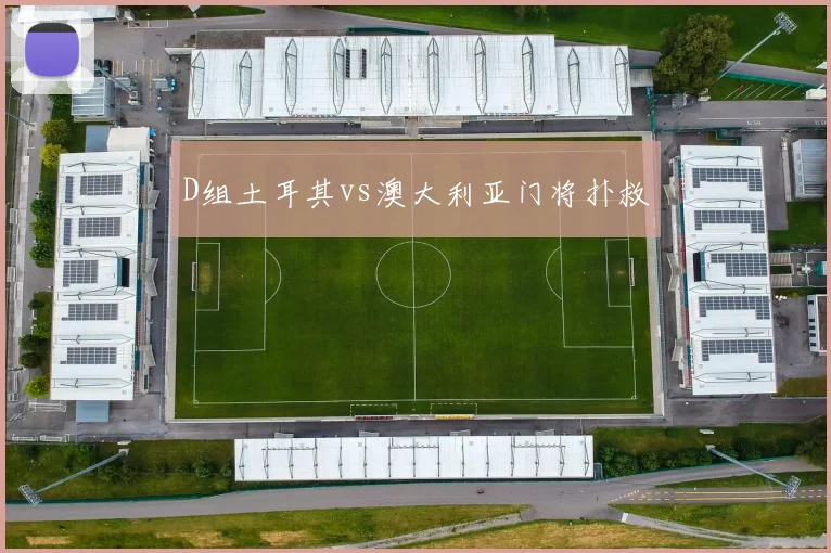D组土耳其vs澳大利亚门将扑救