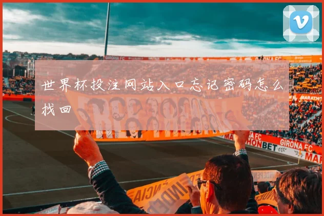 世界杯投注网站入口忘记密码怎么找回