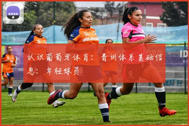 认识葡萄牙体育：青训体系基础信息：年轻球员