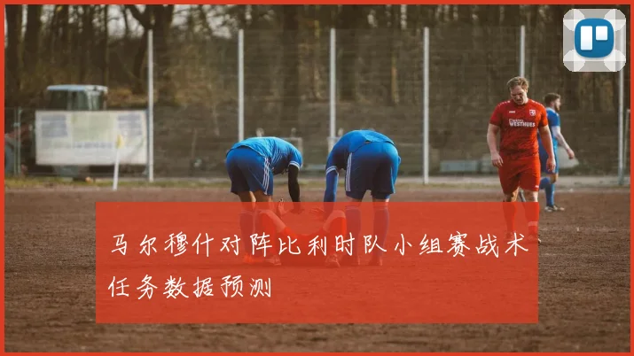 马尔穆什对阵比利时队小组赛战术任务数据预测