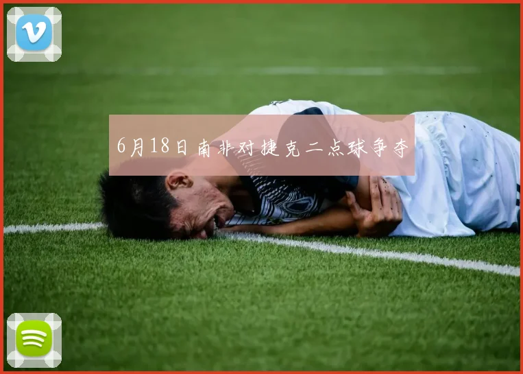6月18日南非对捷克二点球争夺